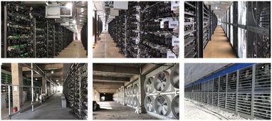 State-of-the-art mining rig
